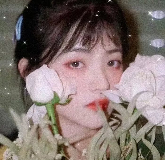狗尾巴草也是花