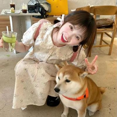 日落湄南河
