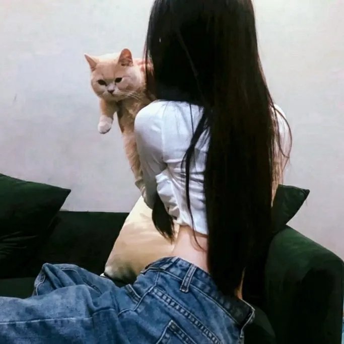 寻找牛腿琴